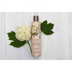 Шампунь Кафе красоты Укрепляющий против выпадения волос 300 мл